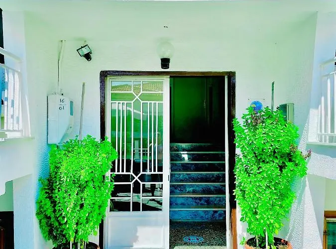 Maria Petru Apartamento