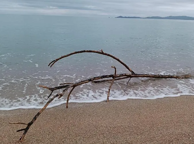 Maria Petru Apartamento *