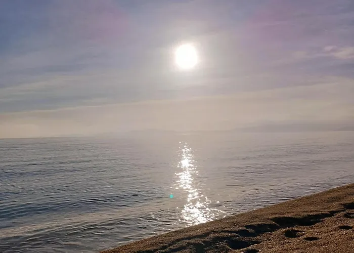 Maria Petru Apartament