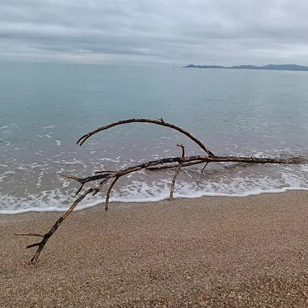 Maria Petru 公寓 *